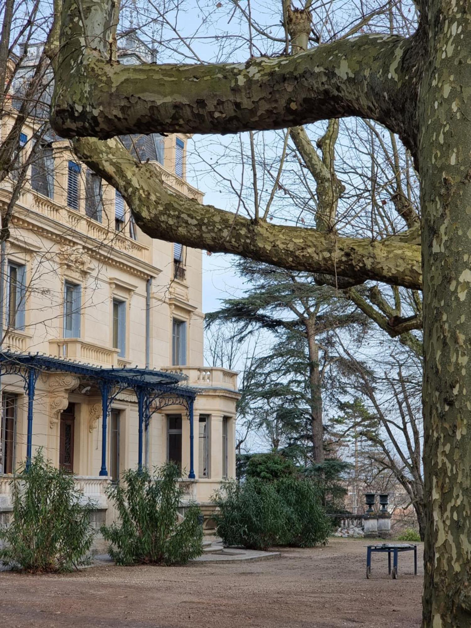 Hotel-Musee Villa Bagatelle Irigny Dış mekan fotoğraf