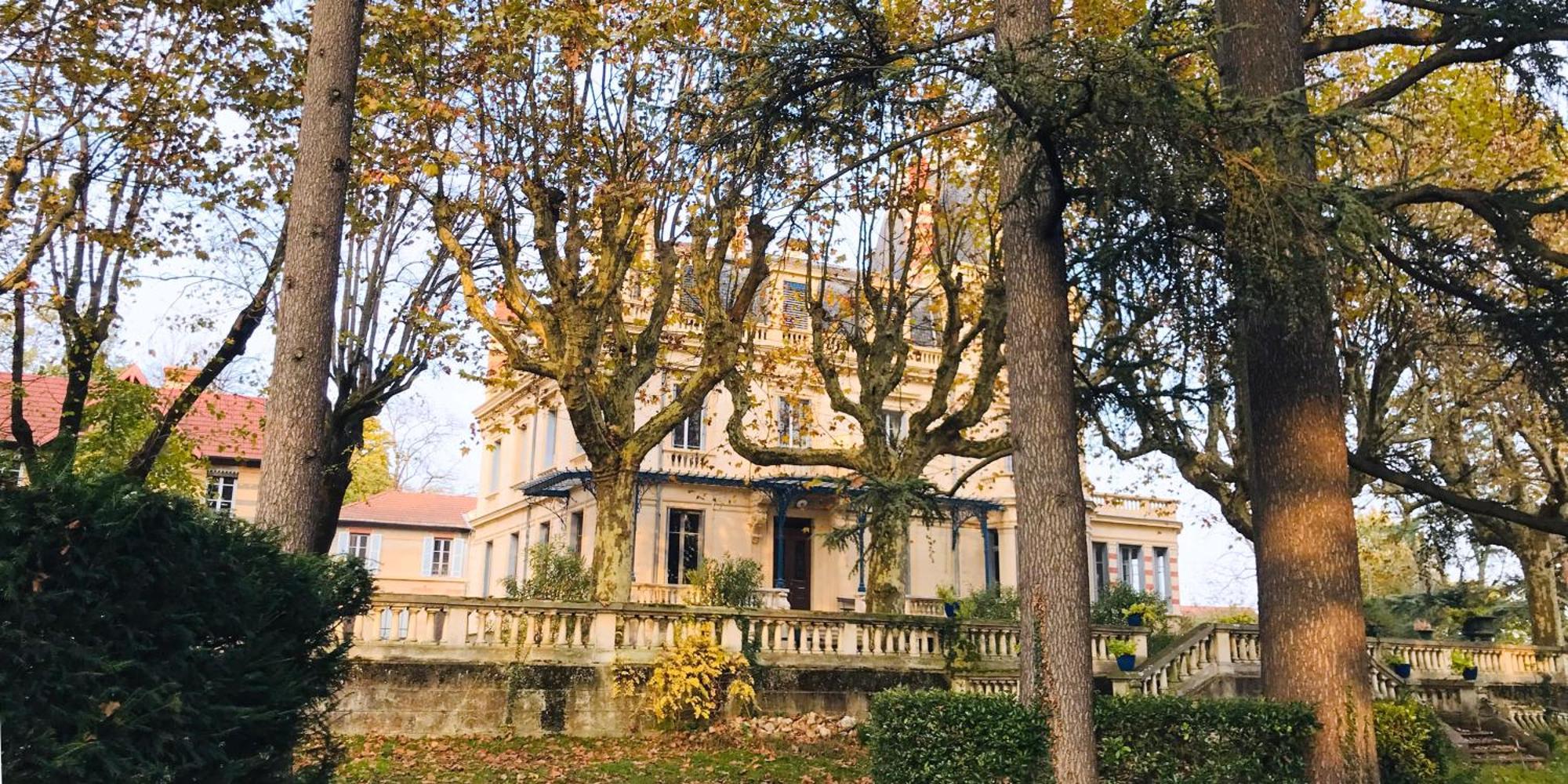 Hotel-Musee Villa Bagatelle Irigny Dış mekan fotoğraf